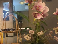 -施奈儿.洗头頭療.按摩SPA.采耳(上梅林店)