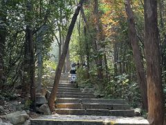 -云龙山