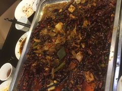 -江边城外烤全鱼(朝外店)