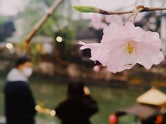 -运河游船(武林门码头)