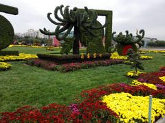 -廊坊文化艺术中心