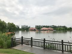 -上海长兴岛郊野公园