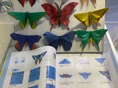 -上海昆虫博物馆