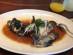 -大天瑞斯丽酒店-中餐厅
