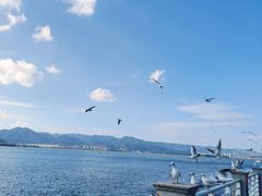-海埂大坝