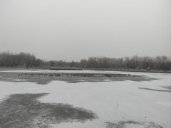 -五环公园
