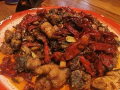 -柴窝堡22号辣子鸡·传承新疆菜