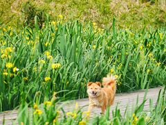 -白鹭湾湿地公园