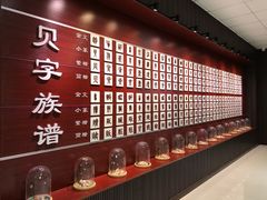 -青岛贝壳博物馆