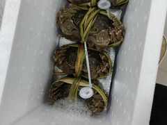 -祥鹤龙虾螃蟹