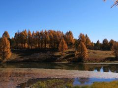 -塞罕坝国家级自然保护区