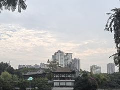 -荔湾湖公园