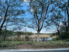 -同里国家湿地公园