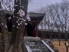 -碑林公园