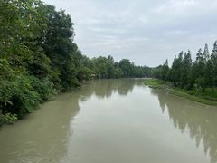 -三道苗苗鱼(三道堰老字号店)