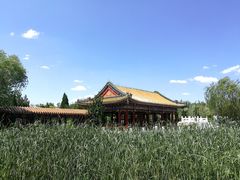 -武清南湖绿博园