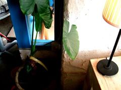 -Babycat私家御饼屋(龙头路一店)