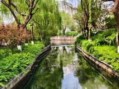 -泉城广场