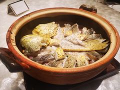 -人间采蜜(海信广场店)