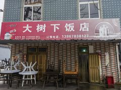 -大树下饭店(春晓镇慈岙社区卫生服务站南)
