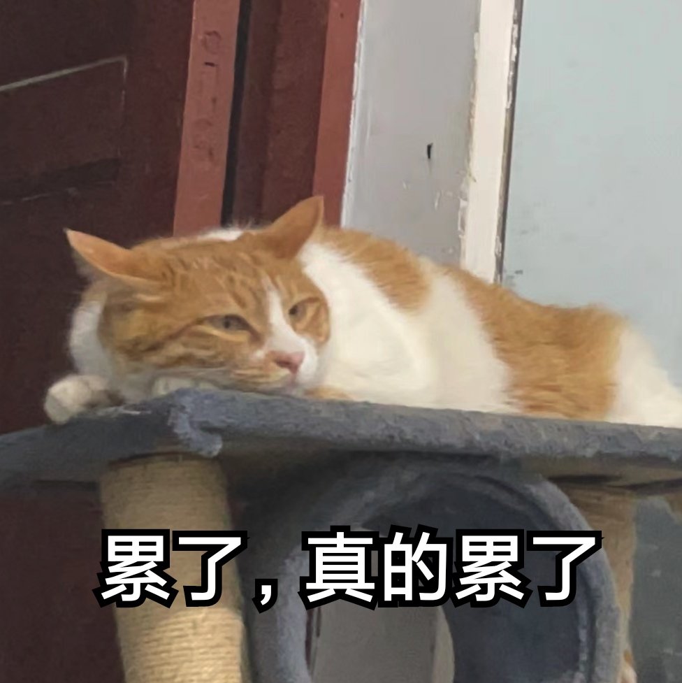 我的工作状态=我的猫咪表情包