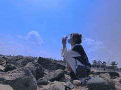 -小麦岛公园