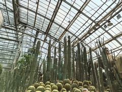 -南山植物园