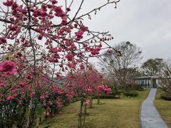 -福建鲤鱼洲酒店