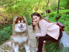 -杭州半山国家森林公园