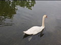 -武汉动物园