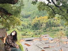 -杨家堂村
