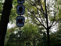 -灵隐飞来峰景区
