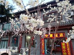 -中原农家乐(中原饭店)