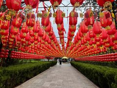 -大槐树寻根祭祖园