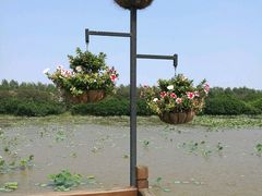-大湾区中央湿地公园