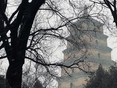 -大慈恩寺(大雁塔)