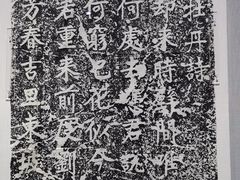 -浙江西湖美术馆