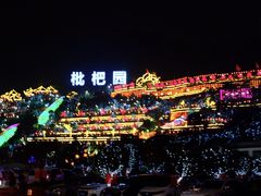 -枇杷园食为鲜火锅(南山店)