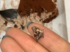 -皇后西斯汀(千姿汇店)