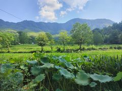 -塔川景区