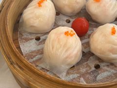 -泉龙渔村·粤式早茶·金牌烧鹅(中山三乡店)