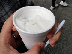 -洪馨椰子