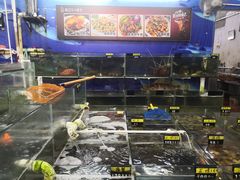 -明记海鲜大排档(巽寮湾店)