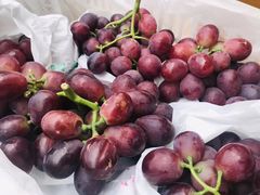 郁金香大红提（斤）-水果天空(东葛店)