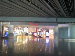 -日上免税店(三径路t3店)