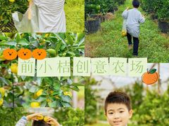 -前小桔亲子创意农场·草莓采摘·露营烧烤