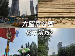 -大望京公园