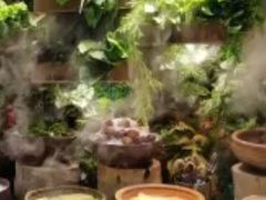 -一号桥自助火锅城(揽秀园西街店)