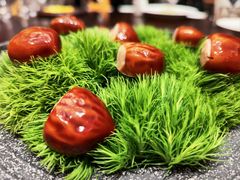 -宝燕壹号(长寿店)