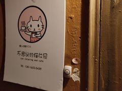 -猫猫幼稚园·撸猫·桌游·电玩